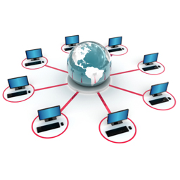 network