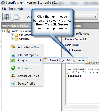 mssql1