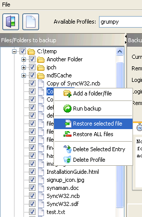 restoring2